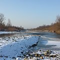 Rzeka jeszcze nie zmarzła - 6 lutego