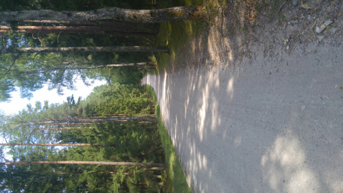 93063ea759854303med.jpg