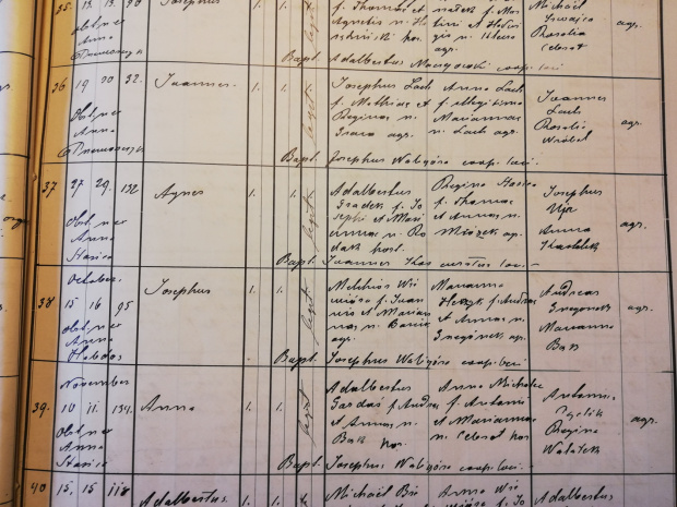 Akt urodzenia Józef Wiewióra