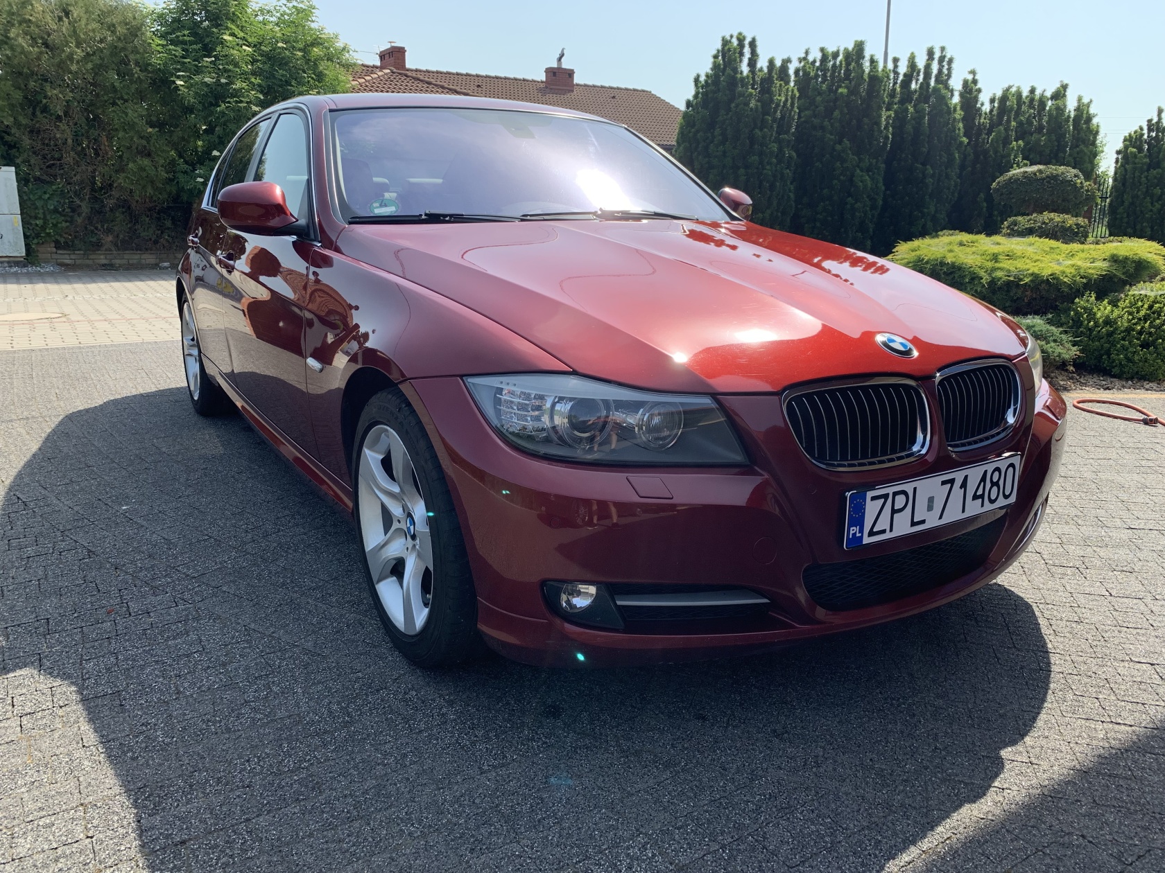 8tl bmw опция