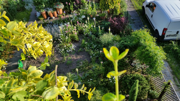 ogród z dachu