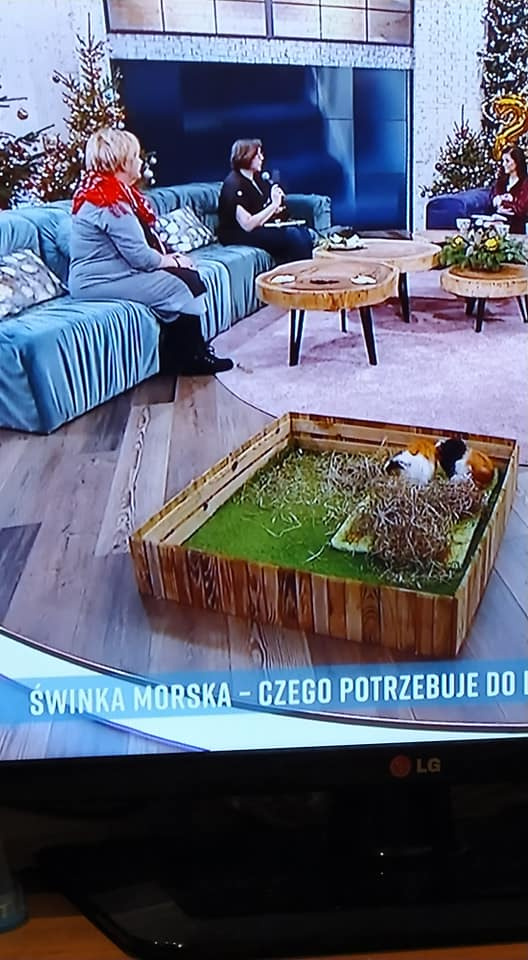 Obrazek