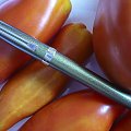 Prelude Sheaffer Green