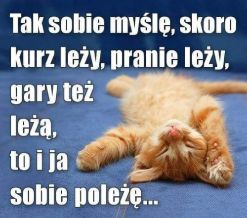 Obrazek