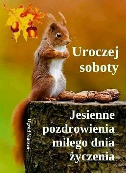 Obrazek