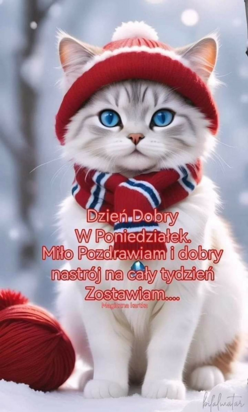 Obrazek