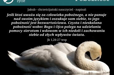 1. #Bóg #Ojciec #wdowa #sierota #Biblia #pobożność #łabędź